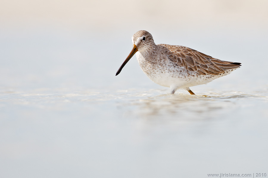 Klikněte pro zobrazení původního obrázku