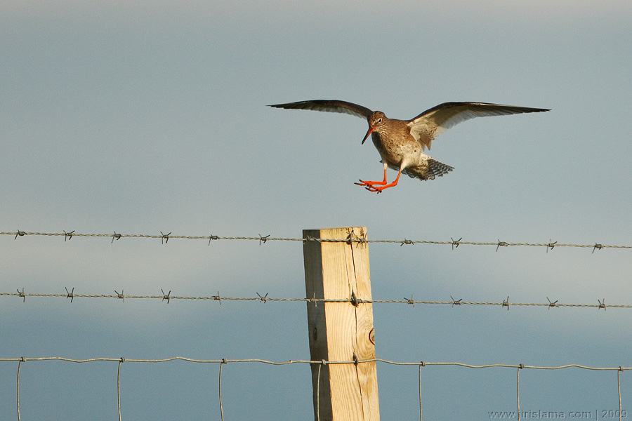 Klikněte pro zobrazení původního obrázku