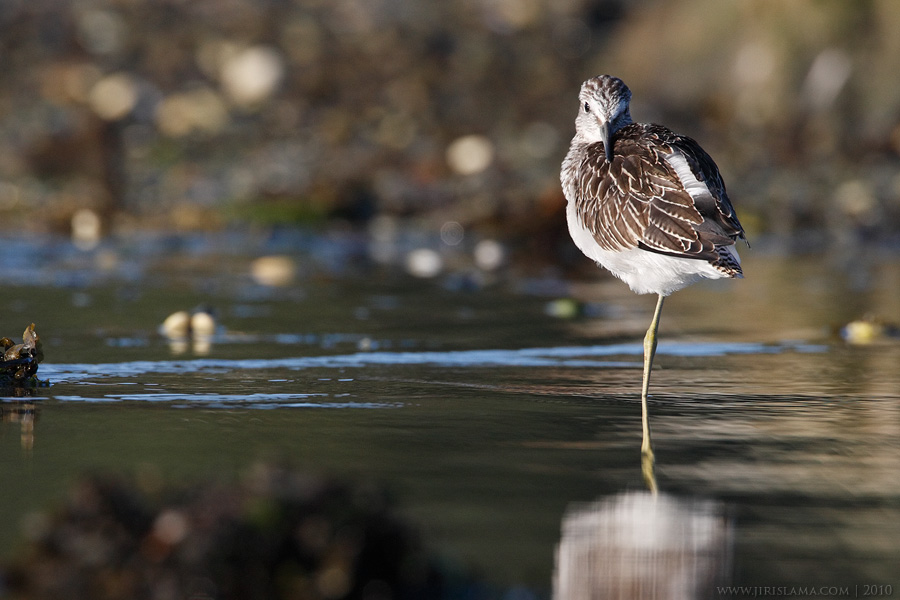 Klikněte pro zobrazení původního obrázku