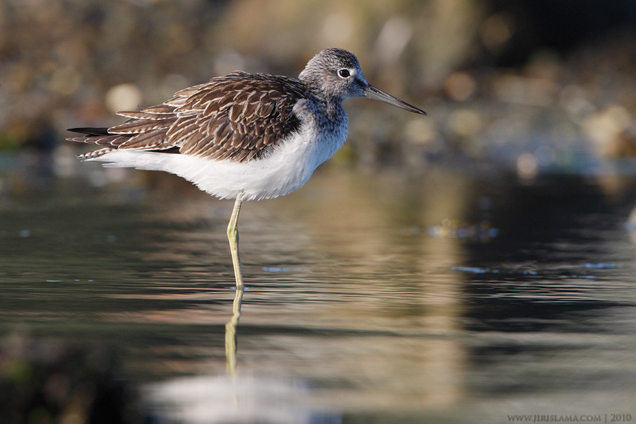 Klikněte pro zobrazení původního obrázku
