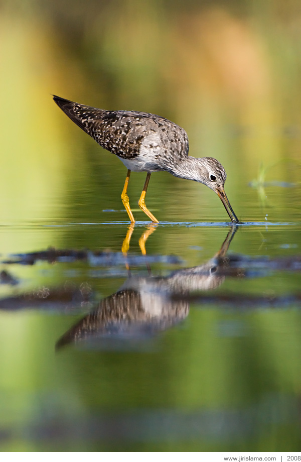 Klikněte pro zobrazení původního obrázku
