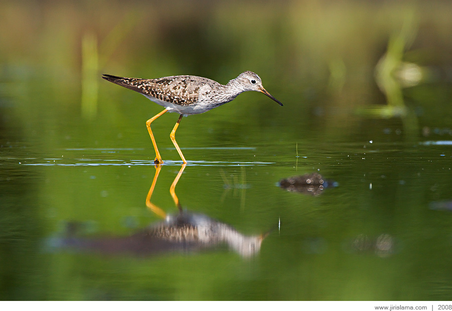 Klikněte pro zobrazení původního obrázku