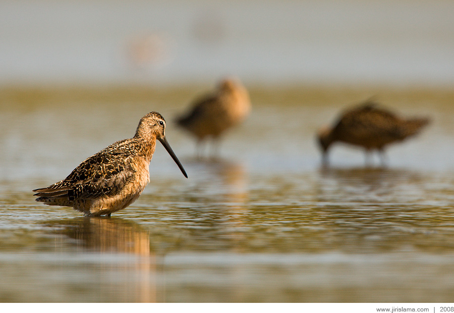 Klikněte pro zobrazení původního obrázku