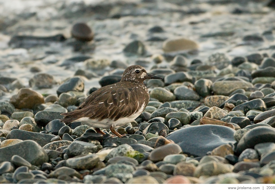 Klikněte pro zobrazení původního obrázku
