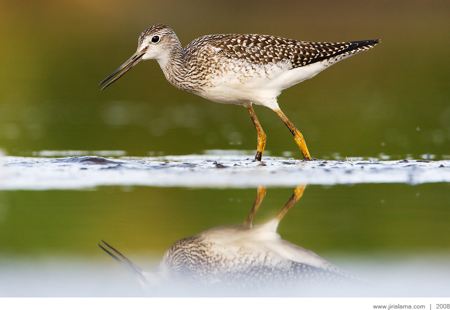 Klikněte pro zobrazení původního obrázku