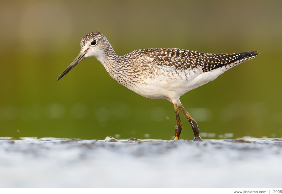 Klikněte pro zobrazení původního obrázku