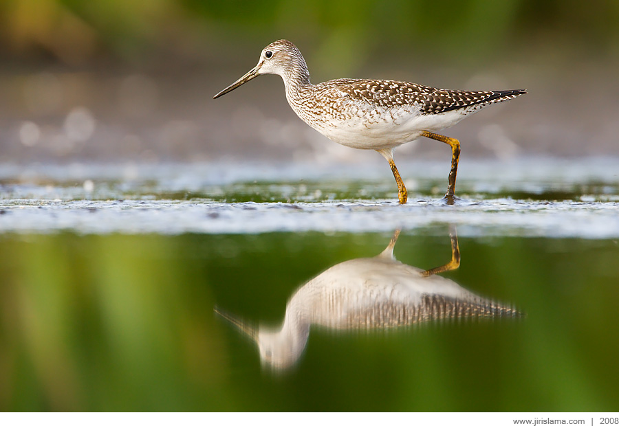 Klikněte pro zobrazení původního obrázku