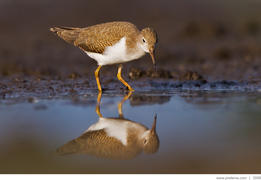 Klikněte pro zobrazení původního obrázku