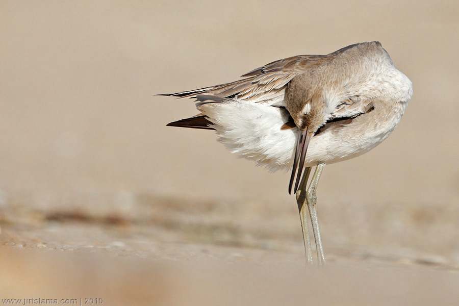 Klikněte pro zobrazení původního obrázku