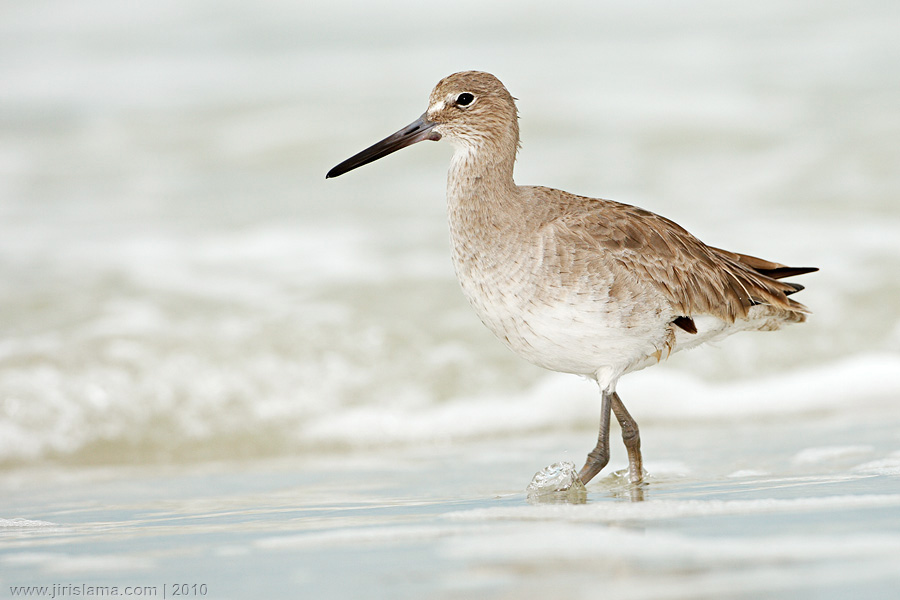 Klikněte pro zobrazení původního obrázku