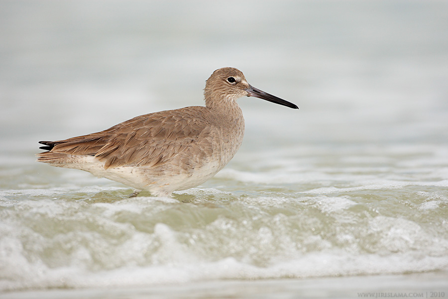 Klikněte pro zobrazení původního obrázku