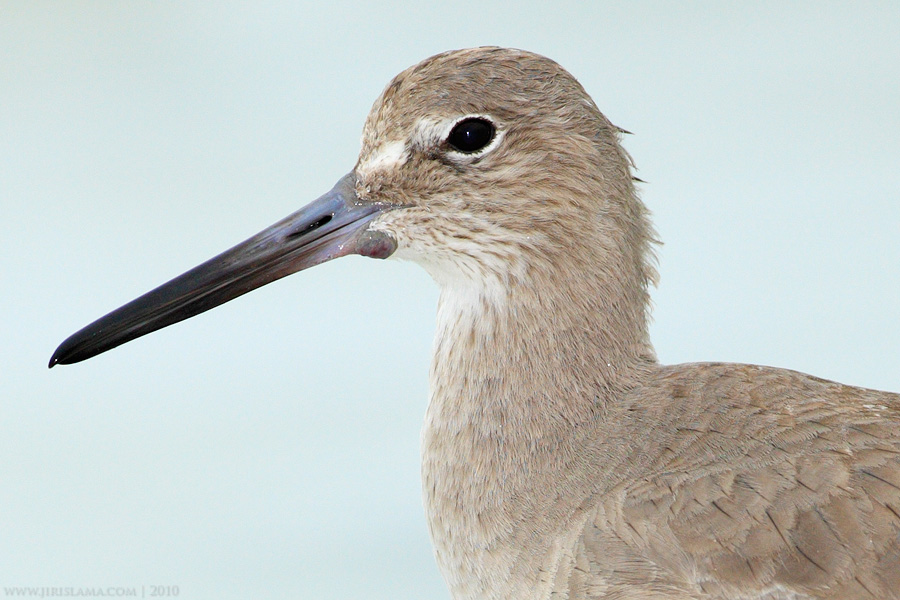 Klikněte pro zobrazení původního obrázku