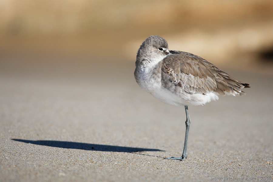 Klikněte pro zobrazení původního obrázku