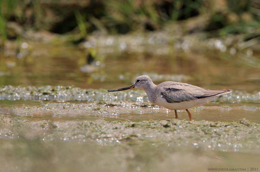 Klikněte pro zobrazení původního obrázku