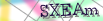 default Security Image