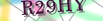default Security Image